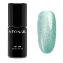 Satin Turquoise Cateye HEMA free