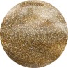 Gel Polish N°264 FORTUNA'S GOLD 10ml