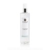 Pro Hand Cleaner 250ml