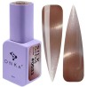 DNKa' Gel Polish Color - 0033 Cat's Eye Silk