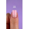 DNKa' Fast Gel 0003 Clio