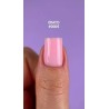 DNKa' Fast Gel 0005 Erato