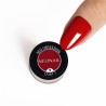 065 Red Obsession