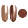Wild Harmony Collection - gelpolish Pressed Powder Applicator -Powders Palette