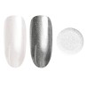 Wild Harmony Collection - gelpolish Pressed Powder Applicator -Powders Palette