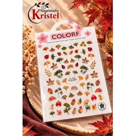 EASY STICKER Colorf K581