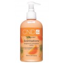 SCENTSATIONS LOTION TANGERINE & LEMONGRASS 245ml